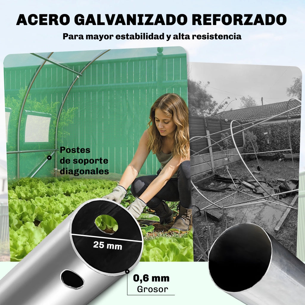 Serra Tunnel 6x3x2 m ¨C zephmum ¨C Verde, Acciaio, 12 Finestre