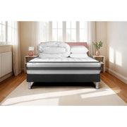 Pacchetto letto completo - Materasso 180x200cm + Box spring con doghe (in kit) + 2 cuscini + Piumino - Vitalpower Recover