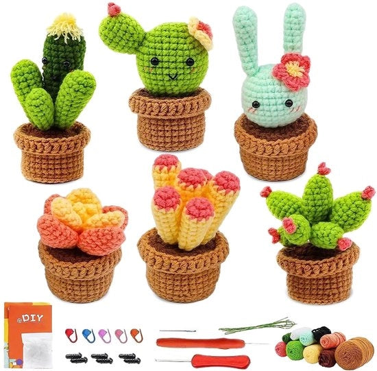 Set di ago per principianti - 6 pezzi - Set di ago - Filo - Vaso per piante di cactus - Tutorial video - Materiali di alta qualità