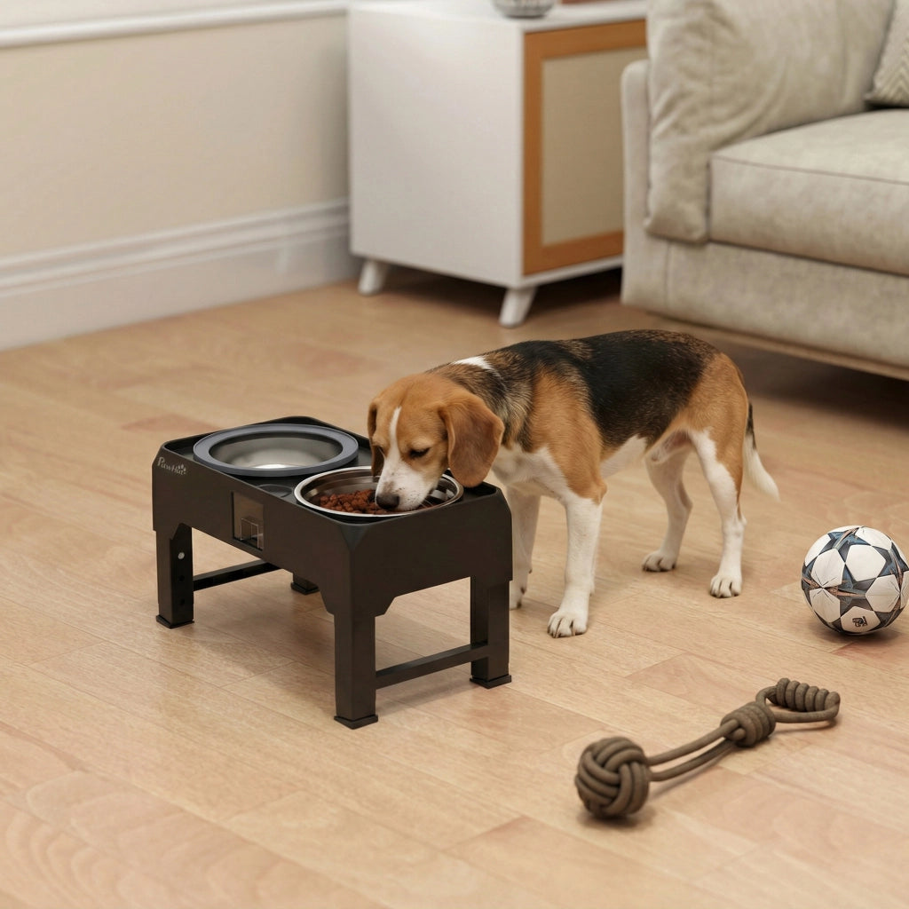 Ciotola per Cane Regolabile in Altezza con 2 Ciotole in Acciaio Inox ¨C zephmum ¨C Nero
