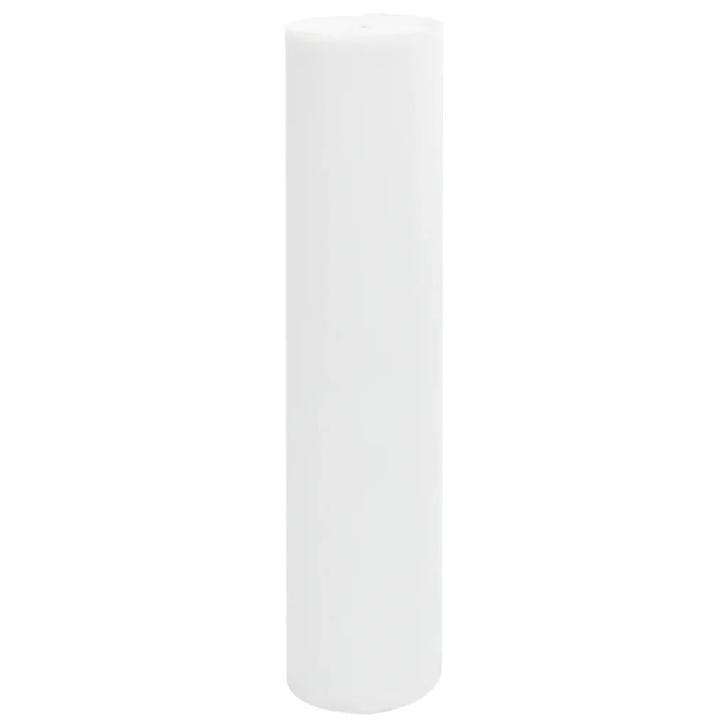 Copertura per Piante 2 Rotoli 70 g/m2 50x1,6 m CFW3310483
