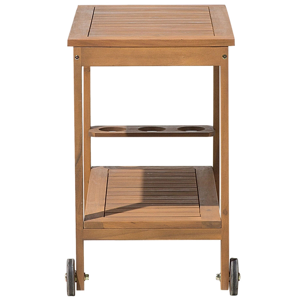 Carrello da giardino in legno di acacia chiaro Carrello da tè a 2 piani con ruote con portabottiglie