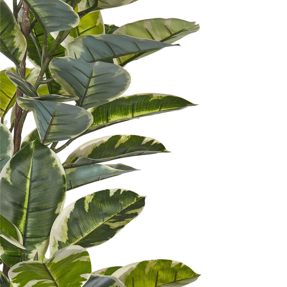 Pianta a artificiale ficus in vaso verde e Nero sintetico 160 cm Materiale accessorio decorativo per interni