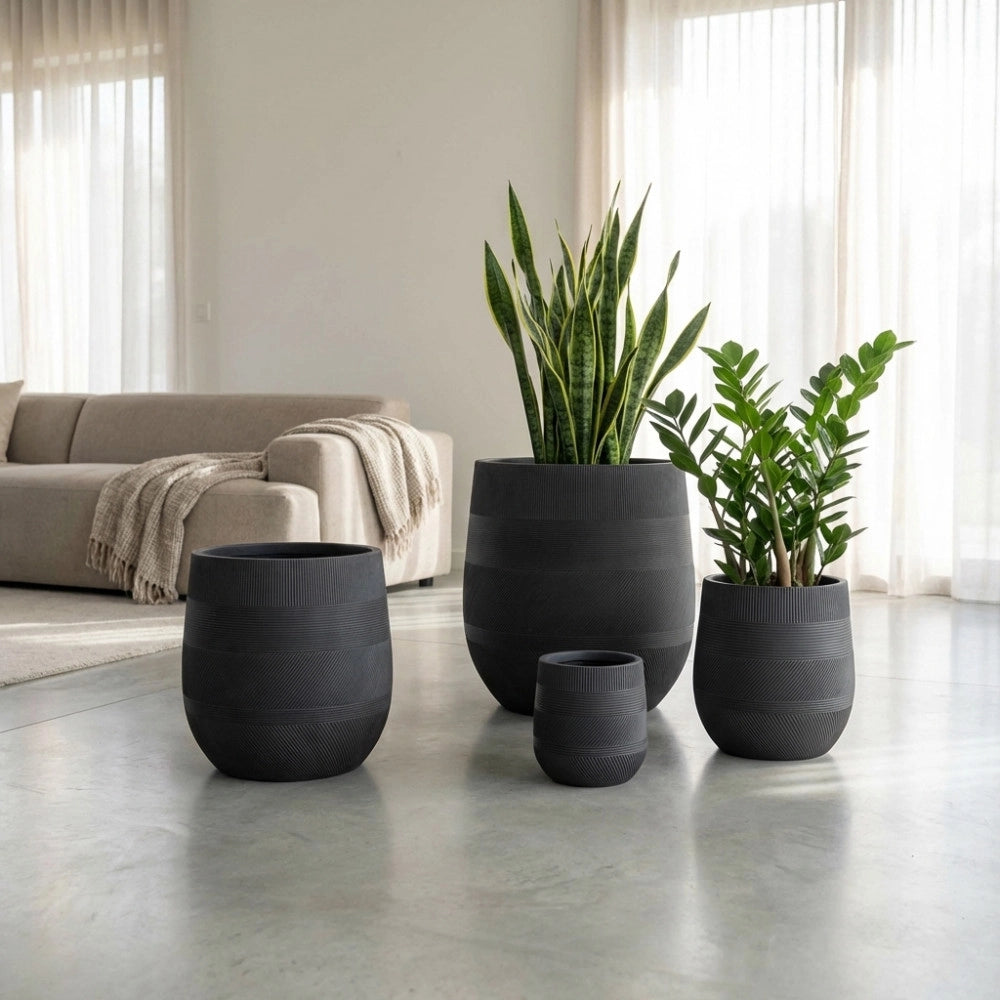 SET VASI PEONIA