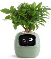 Robot per la cura delle piante con emoji e interazione per gesti - Vaso di giardinaggio verde come regalo