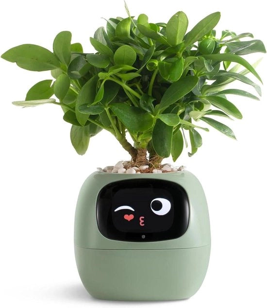 Robot per la cura delle piante con emoji e interazione per gesti - Vaso di giardinaggio verde come regalo