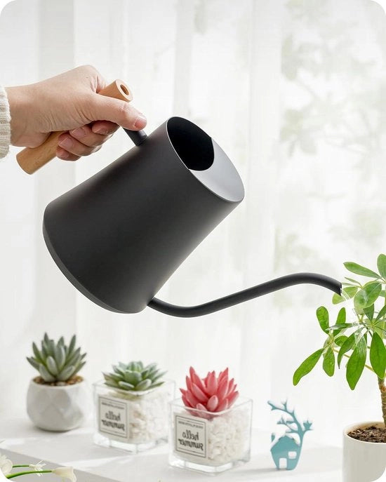 Giocello per bonsai in acciaio inossidabile da 1 litro con manico in legno - getto lungo, nero