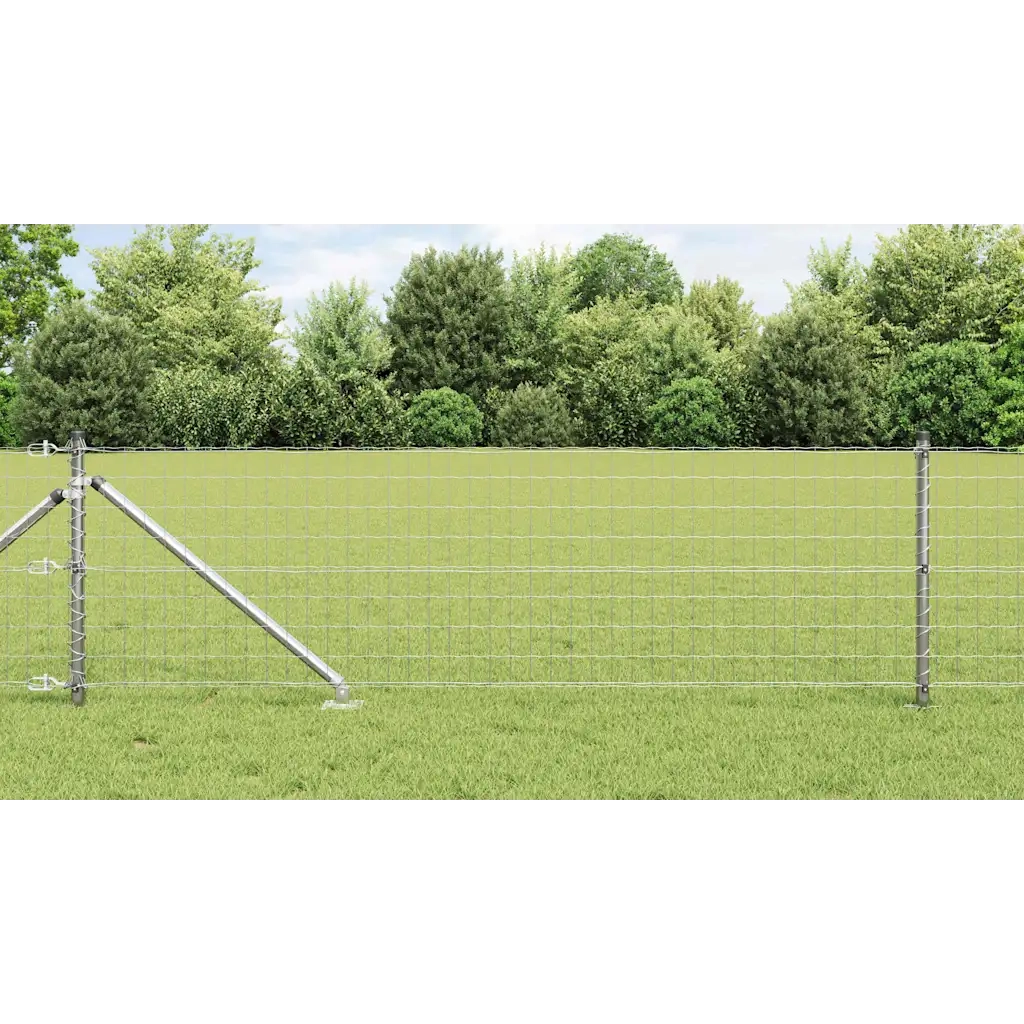 Recinzione con Posto Argento 0,8 x 10 m Acciaio