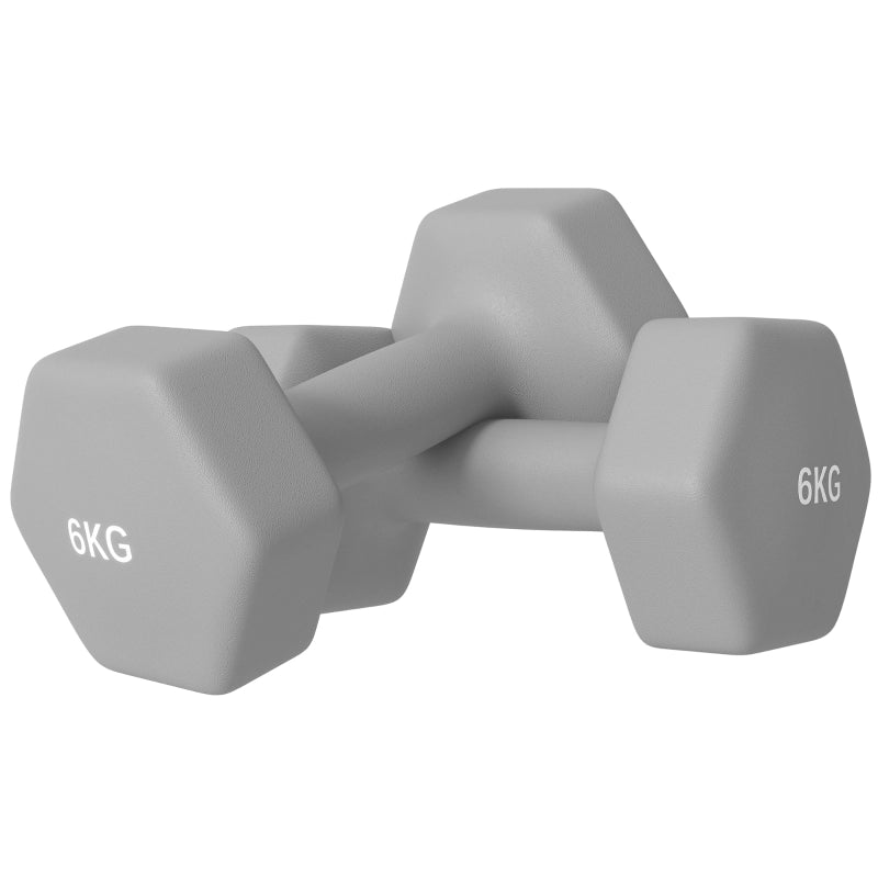 Set di 2 manubri da 6 kg, design esagonale, adatti a pavimenti, antiscivolo, colore grigio.