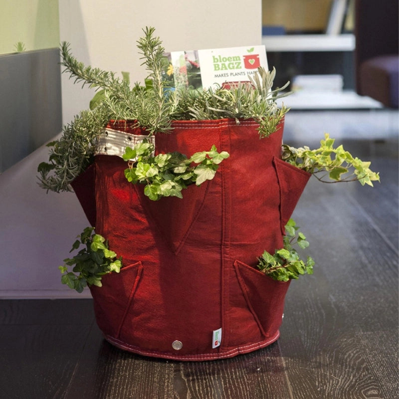 Vaso per Fragole in tessuto BloemBagz, da 35 litri, colore marrone