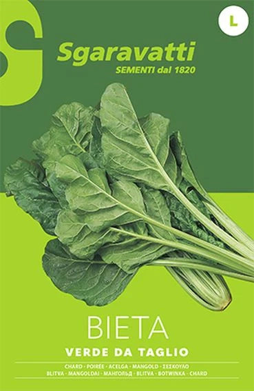 SEMI PER ORTAGGI E VEGETALI bieta liscia verde da taglio- 10 pezzi  - SGARAVATTI