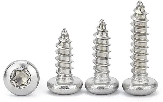 Viti a testa rotonda autoalimentanti in acciaio inossidabile 304, 100 pezzi, 18 mm, Torx.