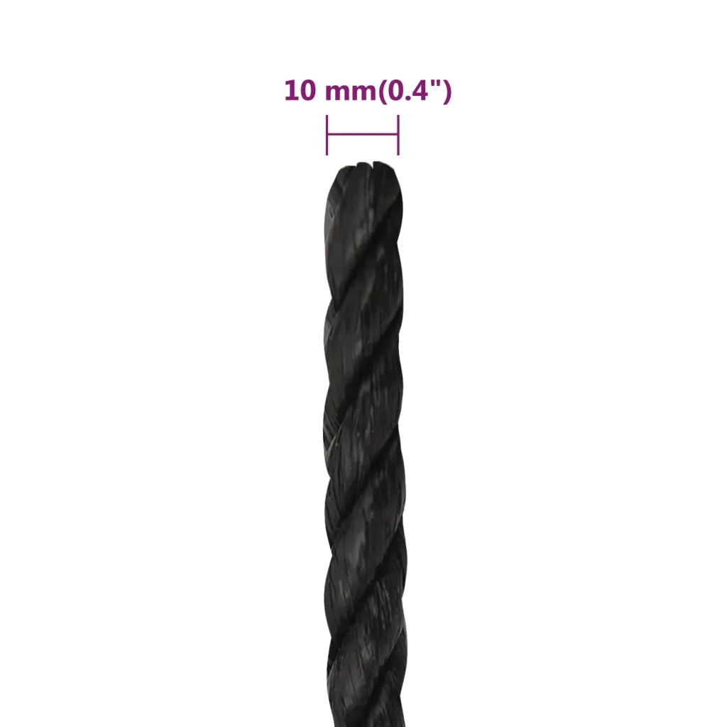 Corda da Lavoro Nera 10 mm 250 m in Polipropilene 153014