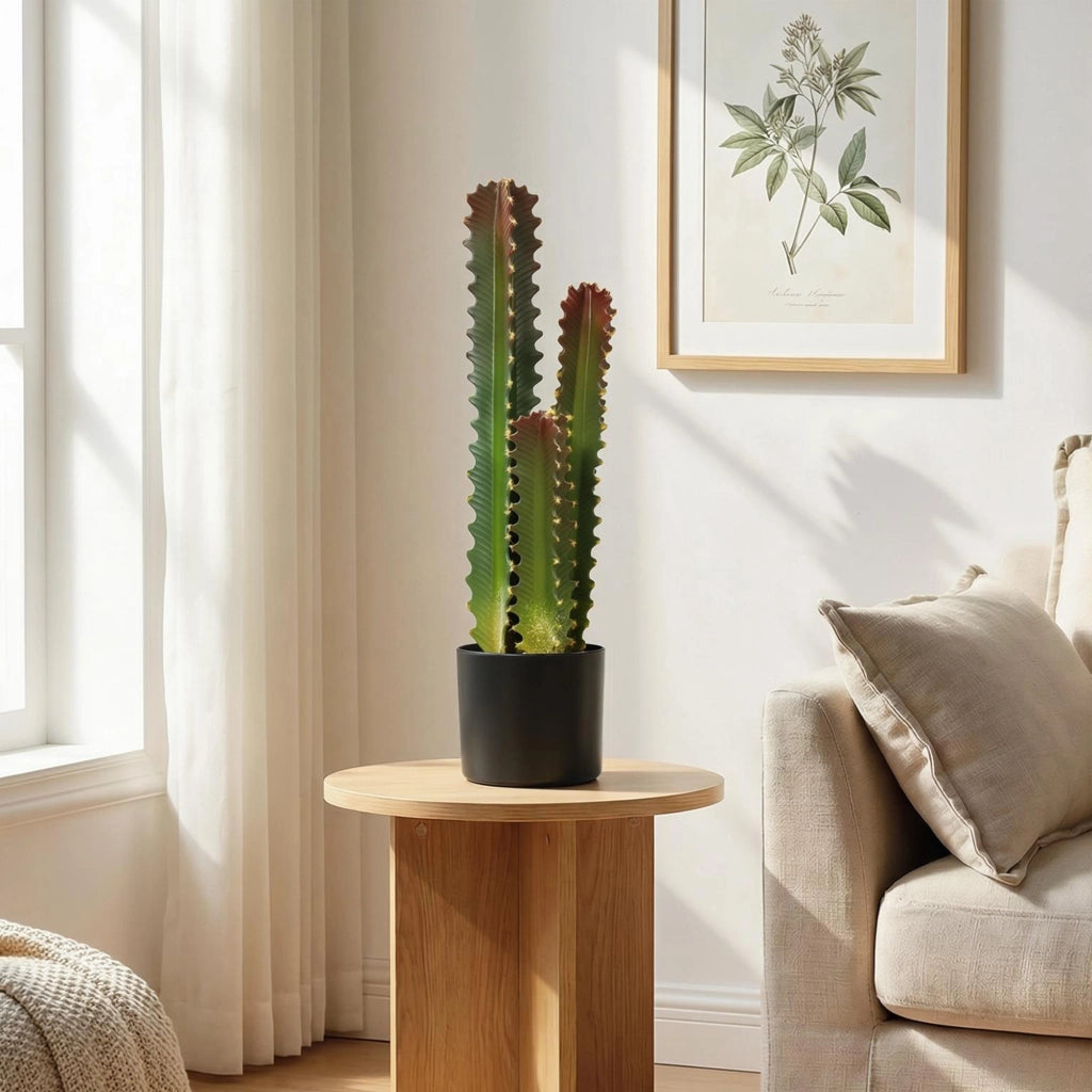 Cactus Artificiale Verde con Vaso 66 cm ¨C zephmum ¨C Decorazione Interni