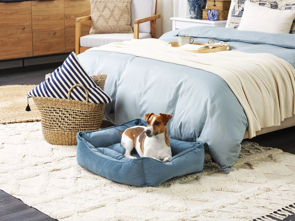 Cuccia lettino in velluto blu per animali domestici di forma rettangolare con lati rialzati per interni