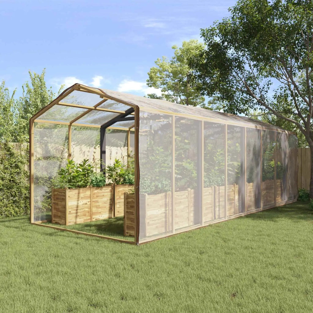 Copertura per Piante Trasparente 6 x 12 m PE CFW5664573
