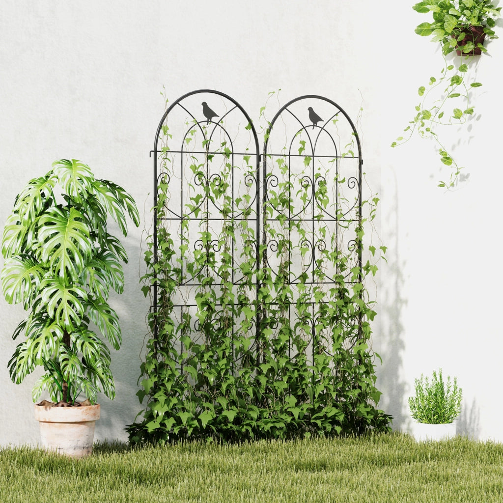 Supporto per piante rampicanti con uccelli ¨C zephmum ¨C 2 pezzi, metallo, nero, 50x150 cm