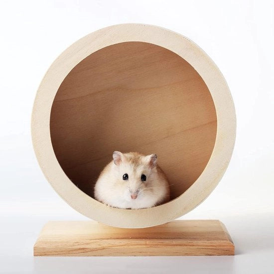 Giradisca per Hamster - Ruote di Dampingo per Piccoli Animali - Ideale per Hamster Siriani, Gerbili, Ratti, Topi, Chinchilli Nani (S Φ/15cm)