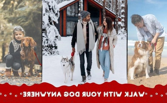 Lunga corda di nylon resistente per addestramento cani di 3 5 10 15 20 25 o 30 m con impugnatura imbottita per l'addestramento di tutti i cuccioli, la chiamata, l'obbedienza, il passeggio e il gioco all'aperto.