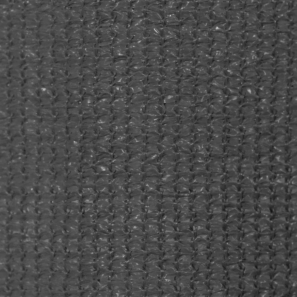 Tenda a Rullo per Esterni 245(L)x140(A) cm Antracite 43489