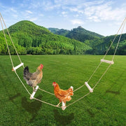Palo di sosta per polli in legno naturale extra lungo per pollaio - Giocattolo per polli e uccelli - Palo di sosta per pollaio - Sedia per uccelli all'aperto - 350 cm