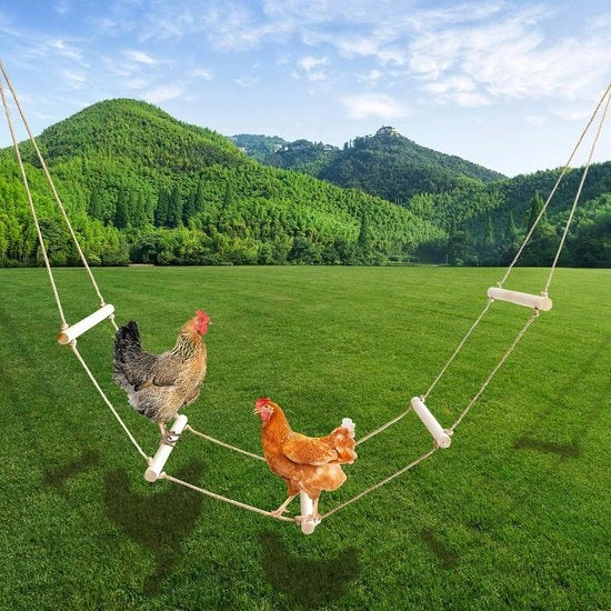 Palo di sosta per polli in legno naturale extra lungo per pollaio - Giocattolo per polli e uccelli - Palo di sosta per pollaio - Sedia per uccelli all'aperto - 350 cm