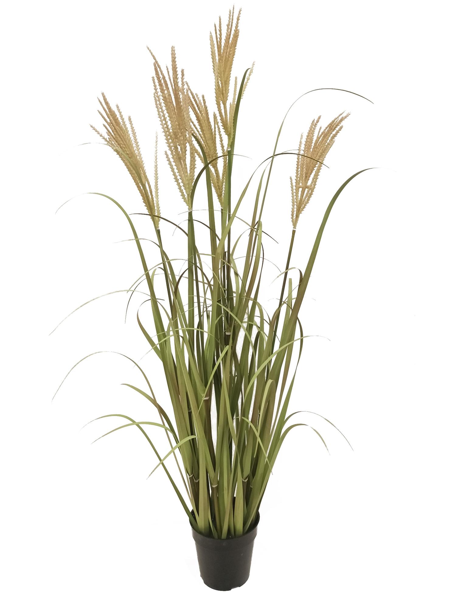 Cesto Rotondo in Vimini con Manici