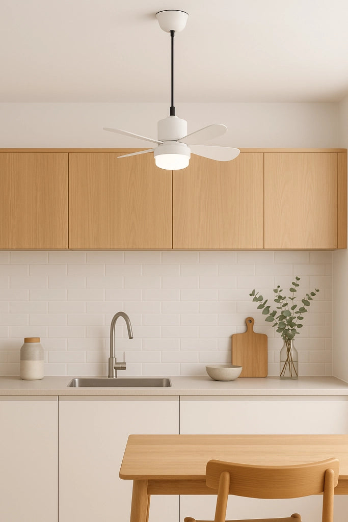 Lampadina LED E27 con Ventilatore e Telecomando 19W + 9W, Dimmerabile, 3 Temperature Colore 3000K 4000K 6500K, 1000 Lumen, Attacco E27