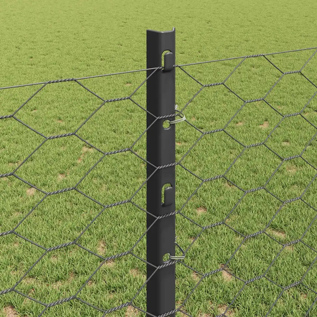 Recinzione da Giardino | Recinzione con Posto Grigio