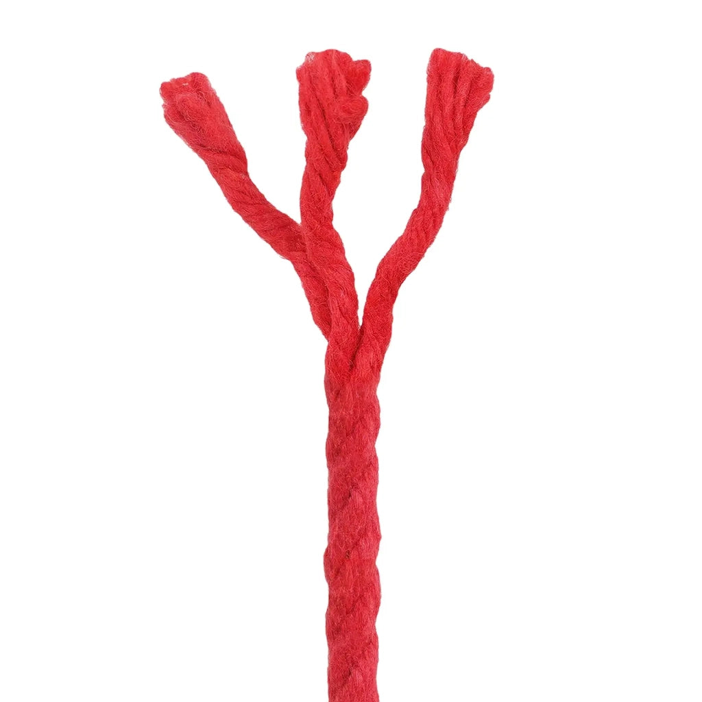 Corda Rosso 0,4 x 0,4 x 50000 cm Cotone