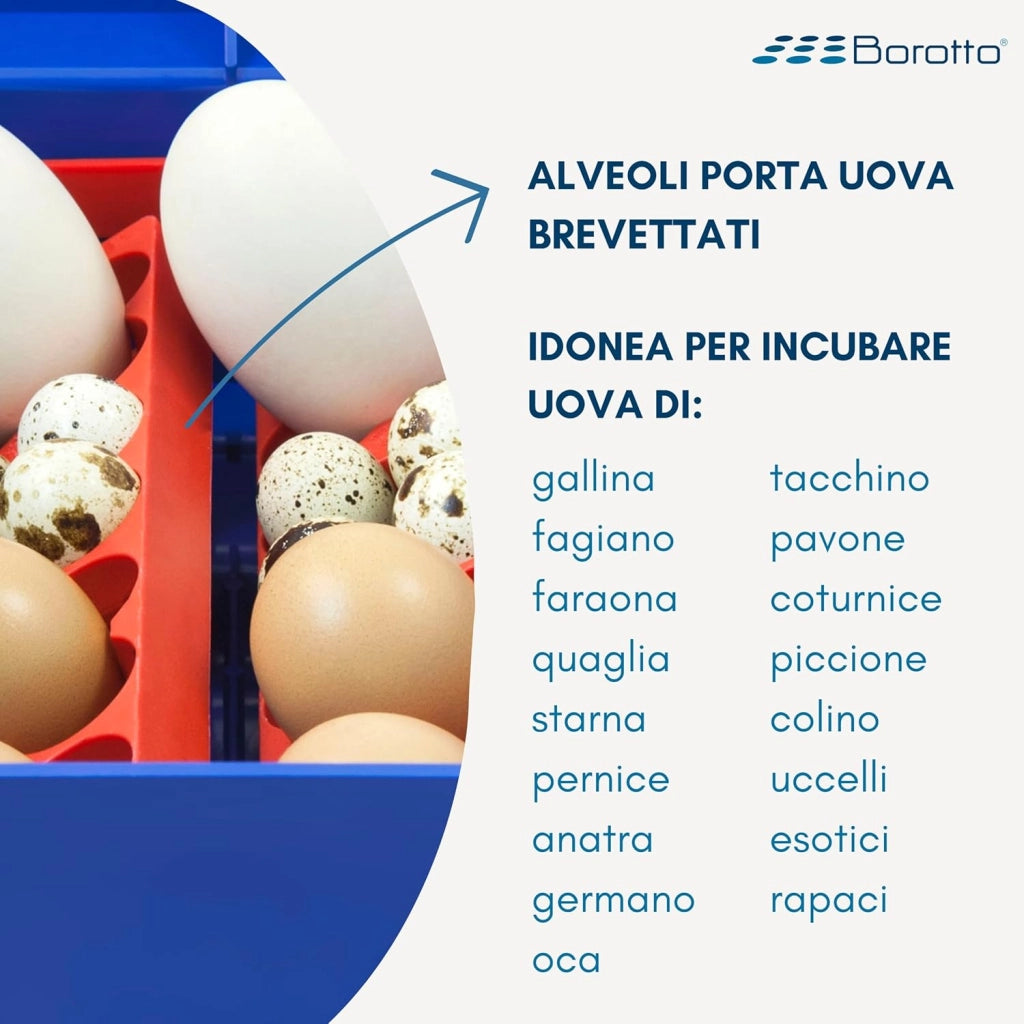 Borotto LUMIA 8 Automatica - Incubatrice per Uova Professionale Brevettata, con Girauova Automatico - per 8 Uova Medio/Grandi o 32 Uova Piccole