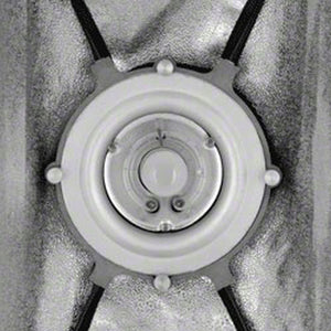 Striplight PLUS 25x180 Aurora/Bowens