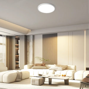 ZMH Lampada da soffitto plafoniera LED moderna rotonda bianca 22 cm per interni corridoi