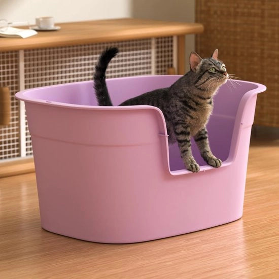 Cassetta per gatti XXL, grande cassetta per gatti con bordo alto per il comfort del vostro gatto, facile da pulire, spaziosa per gatti fino a 10 kg, per grandi gatti, gattini, cassetta per gatti, cassetta per gatti XXL