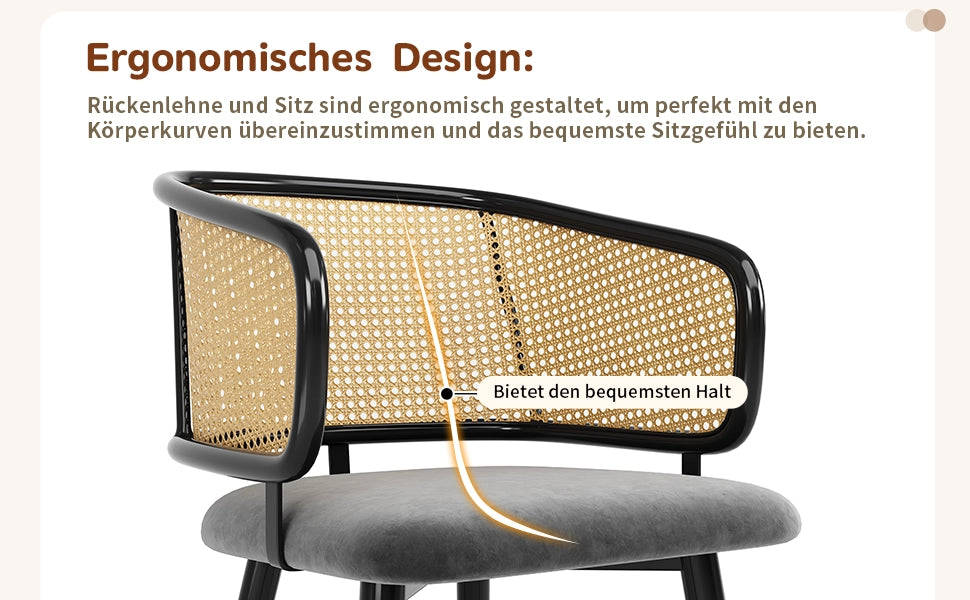 Set 6 Sedie da Pranzo con Schienale in Rattan e Seduta in Velluto ¨C MINIMAL ¨C Stile Moderno