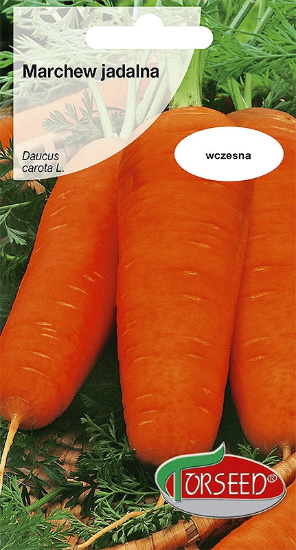 Carota commestibile Chantenay 5g