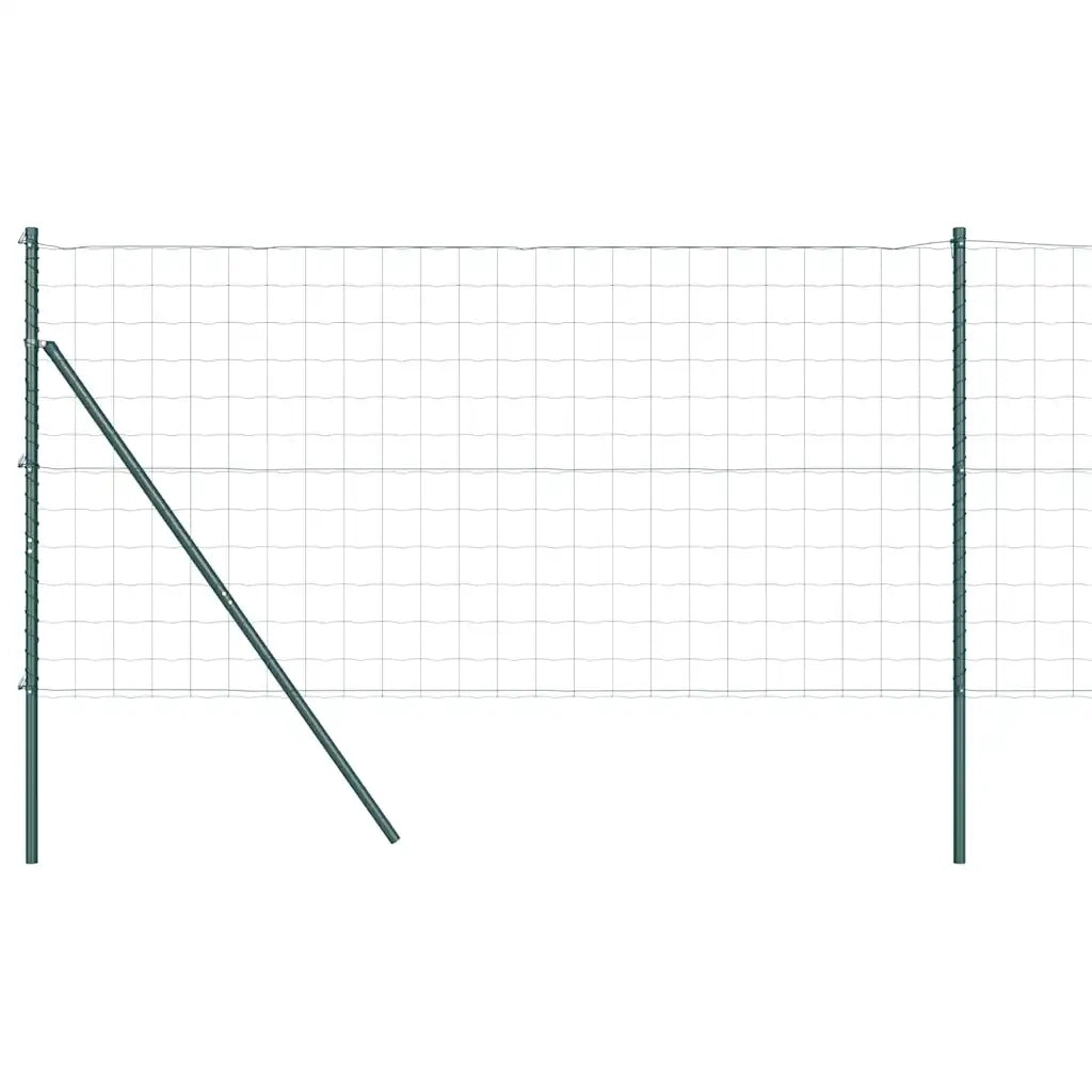 Recinzione con Posto Verde 1,2 x 25 m Acciaio