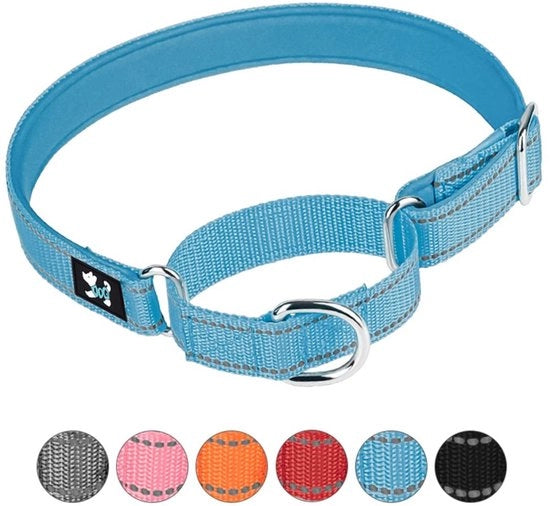 Cinturino per cani adattabile - Martingale per la formazione sicura - Neoprene imbottito - Nylon respirabile - Taglia Grande (42-60 cm) - Adatto per cani grandi - Cinturino per cani