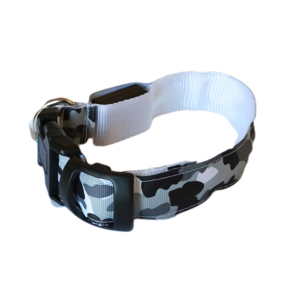 Trade Shop - Collare Per Cane Cani A Led Luminoso Sicurezza Led Notturno Clip Fantasia Tg.s -
