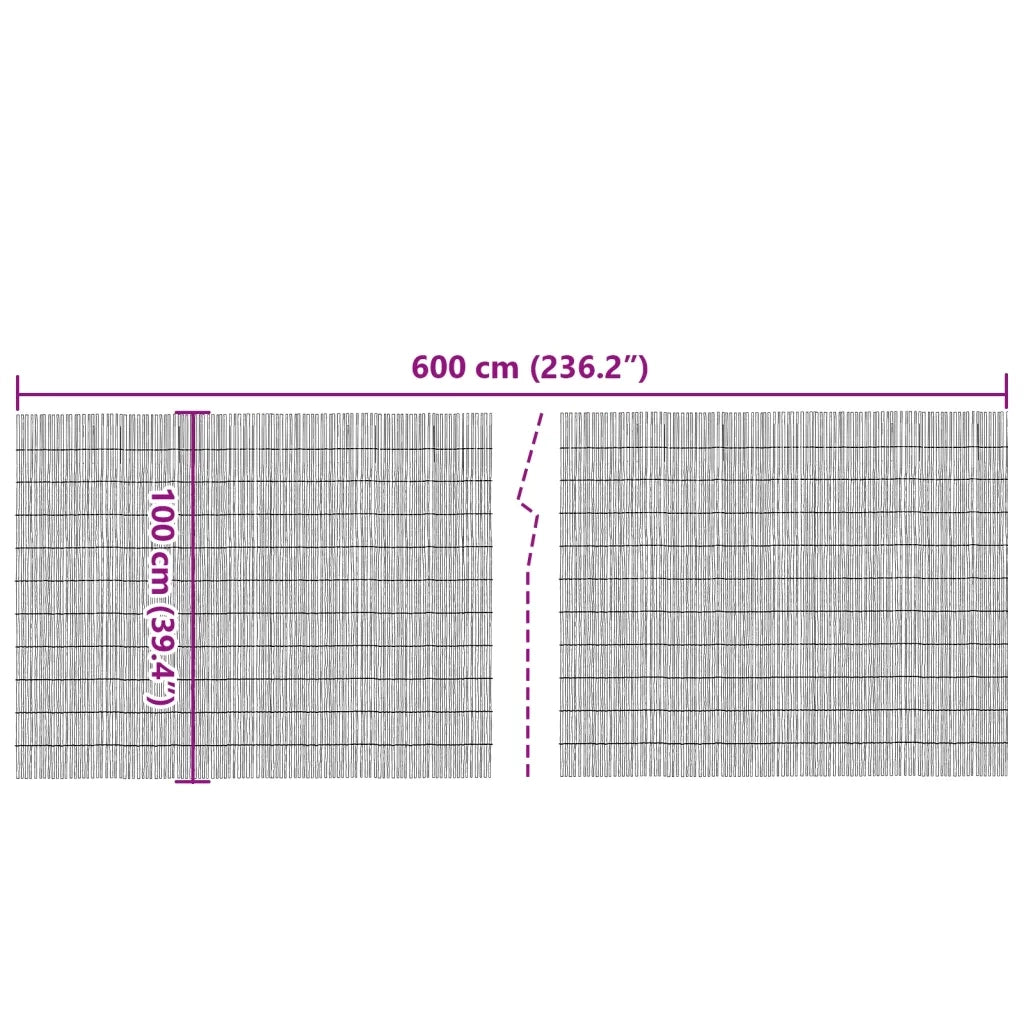 Recinzione da Giardino | Recinzione da cortile 600x100 cm Giunco