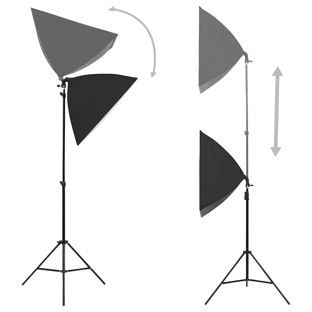 Luci Professionali da Studio 2 pz 40x60 cm in Acciaio Nero CFW7330087