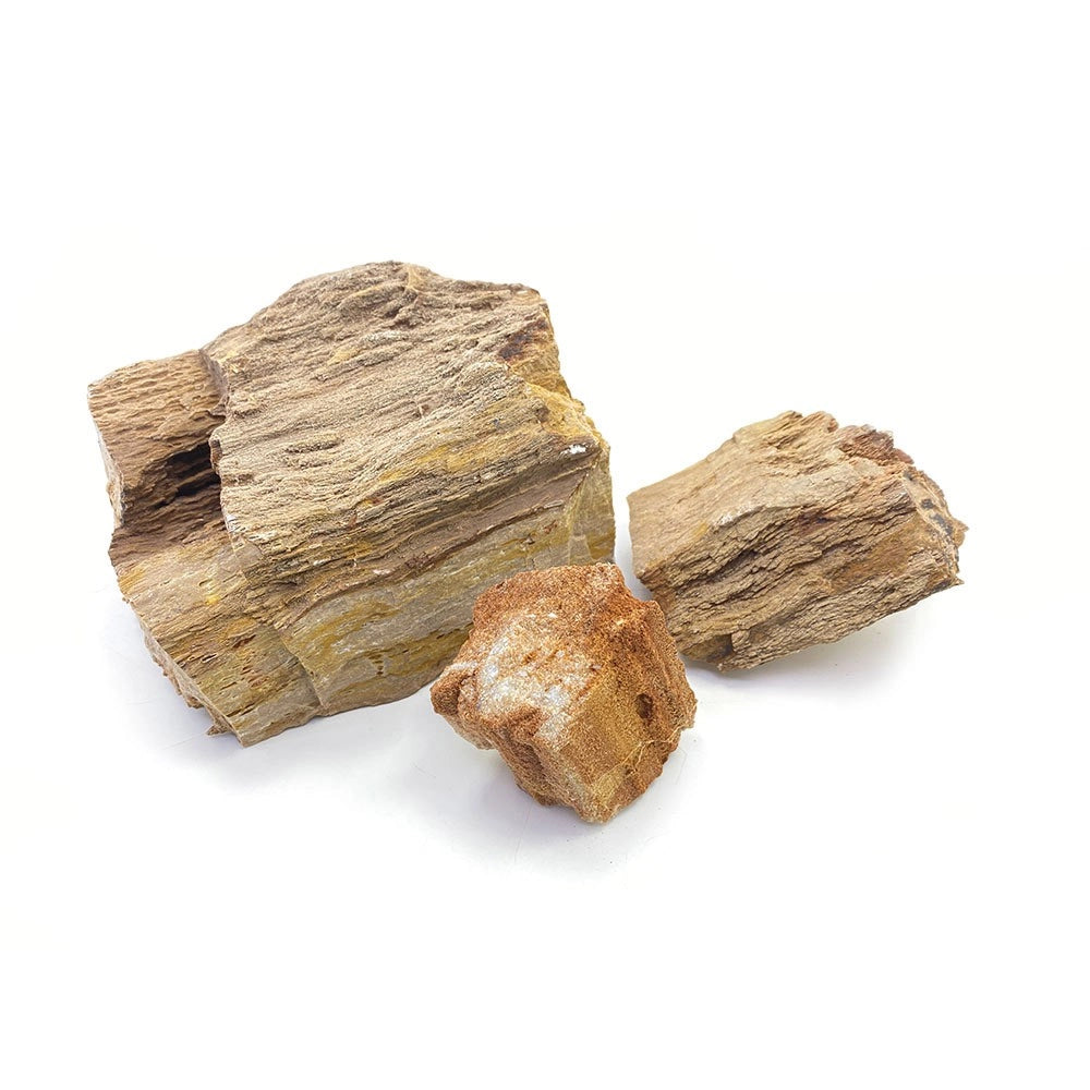 Whimar Red Wood Fossil Rock 1kg - roccia decorativa non calcarea
