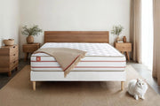 Pacchetto letto completo - Materasso 200x200cm + Box spring con doghe (kit) + 2 cuscini + Piumino - Le Doux