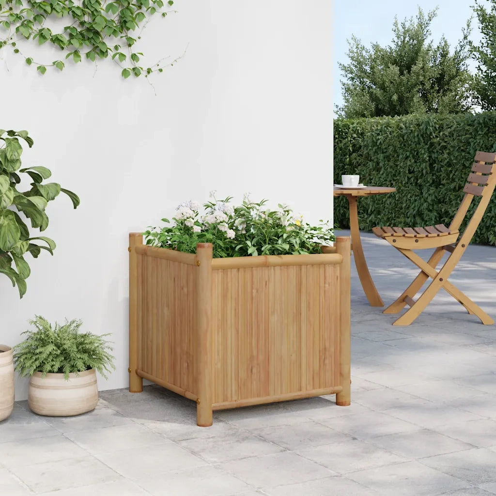 Fioriera | Cassetta per fiori | Vaso 50x50x50 cm in Bamb¨´