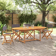 vidaXL Sedie da Giardino Pieghevoli 4 pz Grigio Scuro in Tessuto