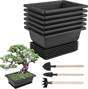 Set di 6 vasi per bonsai in plastica con vassoi per trainare le piante - per uso interno ed esterno, ideale per ufficio, casa e giardino.