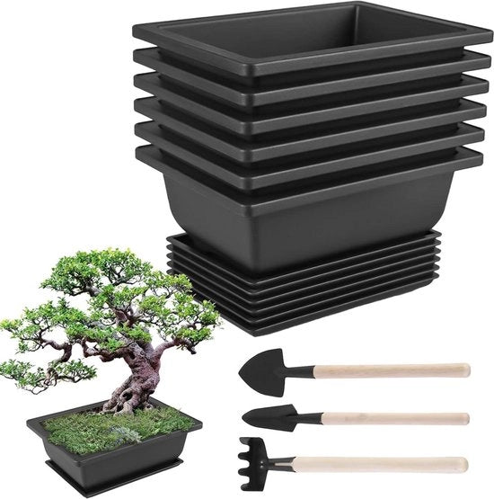 Set di 6 vasi per bonsai in plastica con vassoi per trainare le piante - per uso interno ed esterno, ideale per ufficio, casa e giardino.