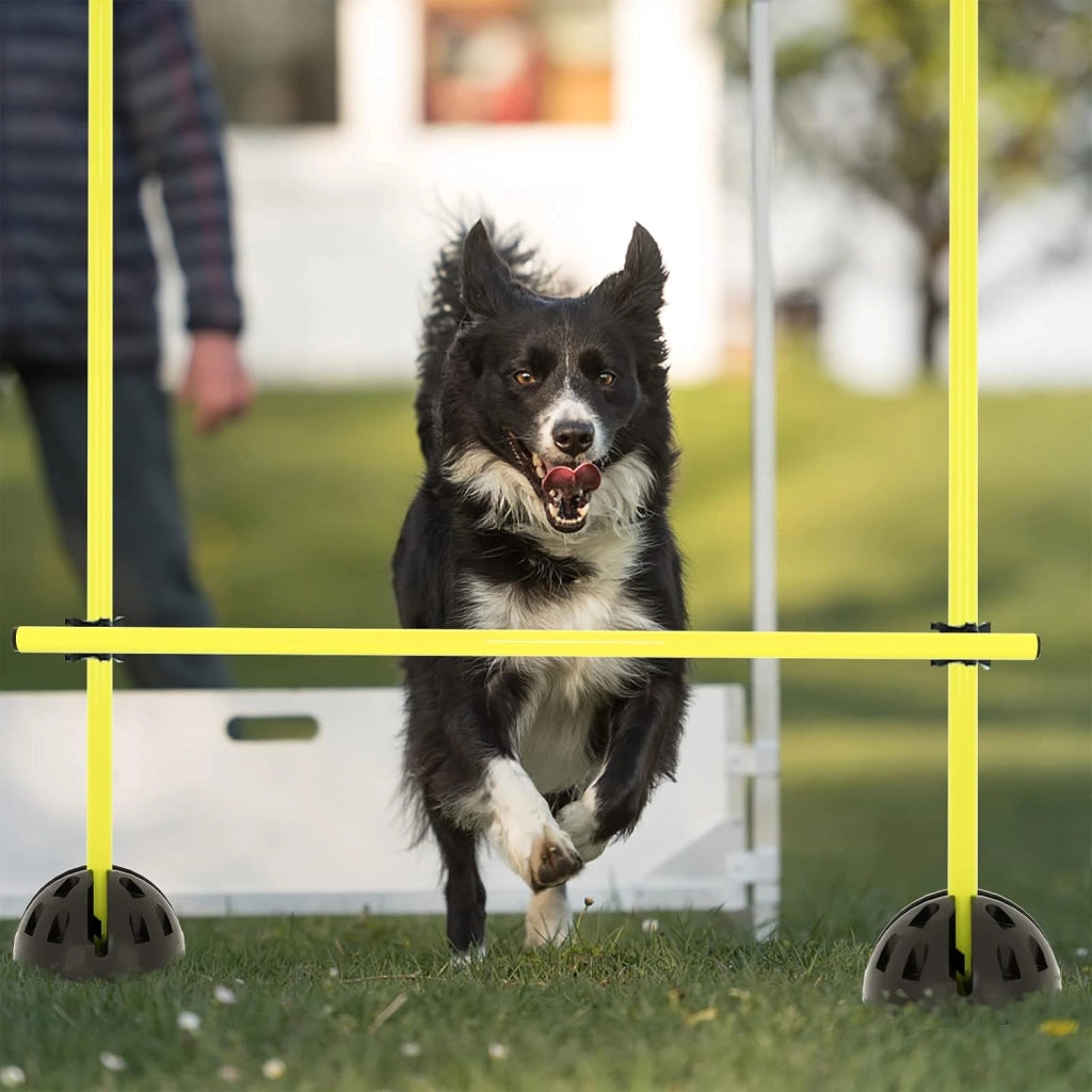 FIVMEN Agility Hostens, set di aste per allenamento per rimbalzo, dribbling e mobilità, aste slalom, hobby horse ostacoli