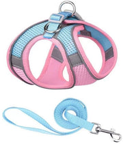 Cintura per gatti - Linea di cintura per cani anti-fuga - Cintura per gatti regolabile - Giacca respirante per gatti riflettente - Linea di cintura per cani piccola e media -  S 
Linea: S 
Modello: 
Dimensioni: 
Materiali: 
Colore: