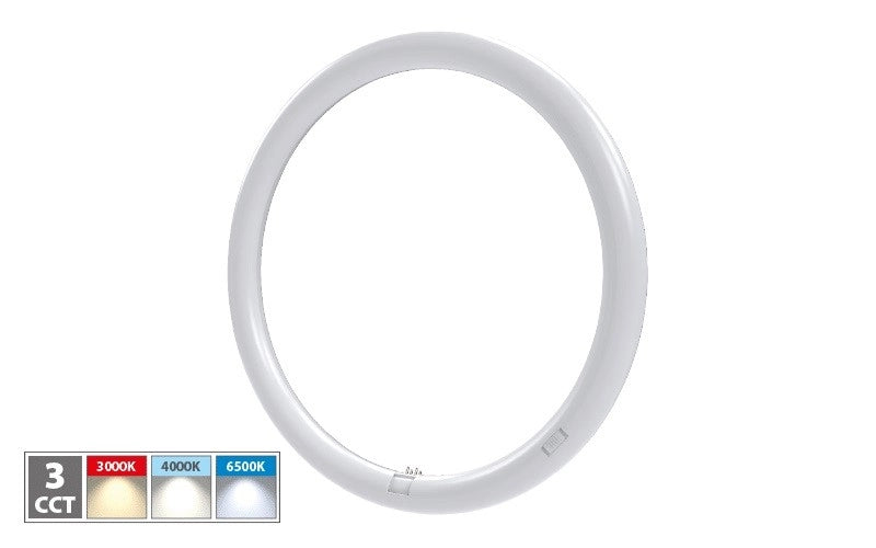 Neon Circolare Trifosforo 24 Watt 373mm 2400 Lumen